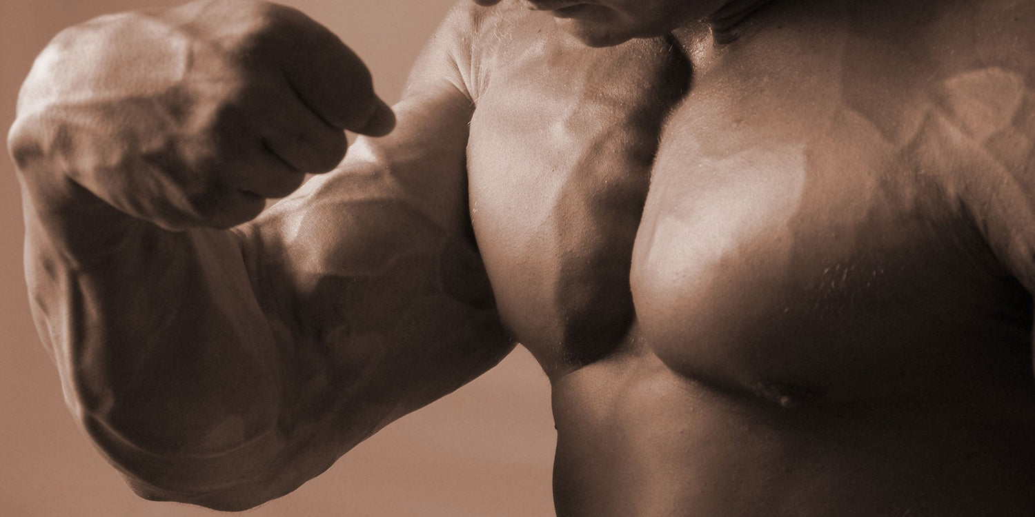 How to Drink Creatine Powder for Maximum Muscle and Health Benefits